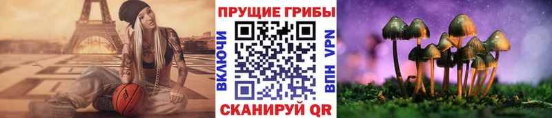Псилоцибиновые грибы Magic Shrooms  Купить  Невель 